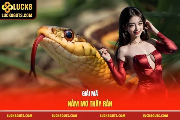 Giải mã nằm mơ thấy rắn