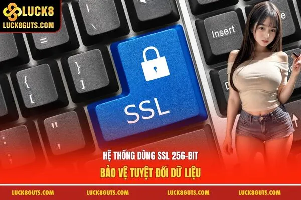 Hệ thống dùng SSL 256-bit bảo vệ tuyệt đối dữ liệu