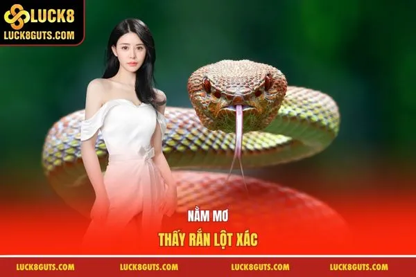 Nằm mơ thấy rắn lột xác