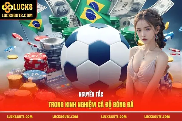 Nguyên tắc trong kinh nghiệm cá độ bóng đá