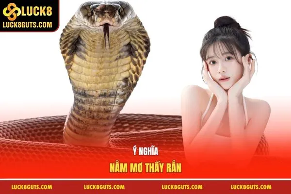 Ý nghĩa nằm mơ thấy rắn